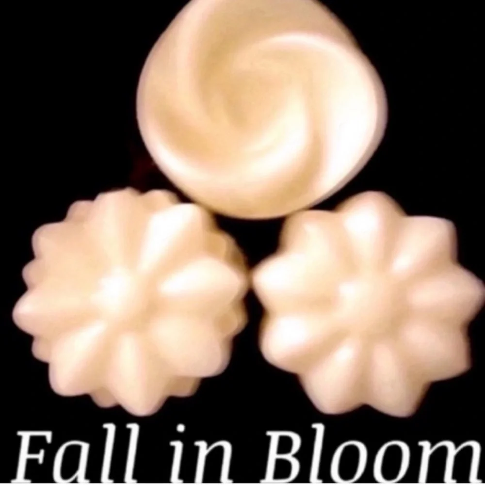 Bath and Body Works Candle Wax Melt Bundle - Picture 2 of 10